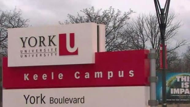 York University