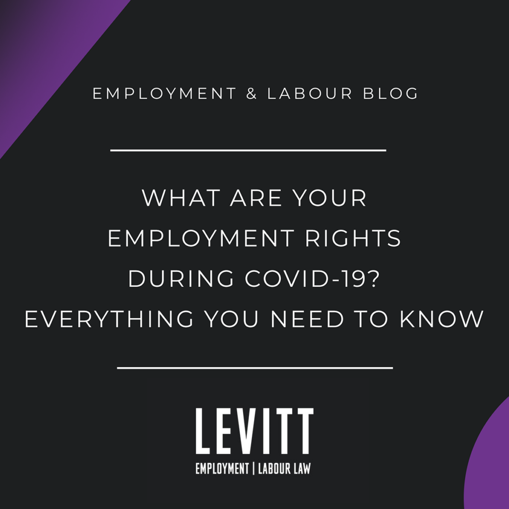 What are your employment rights during COVID-19?  Everything you need to know