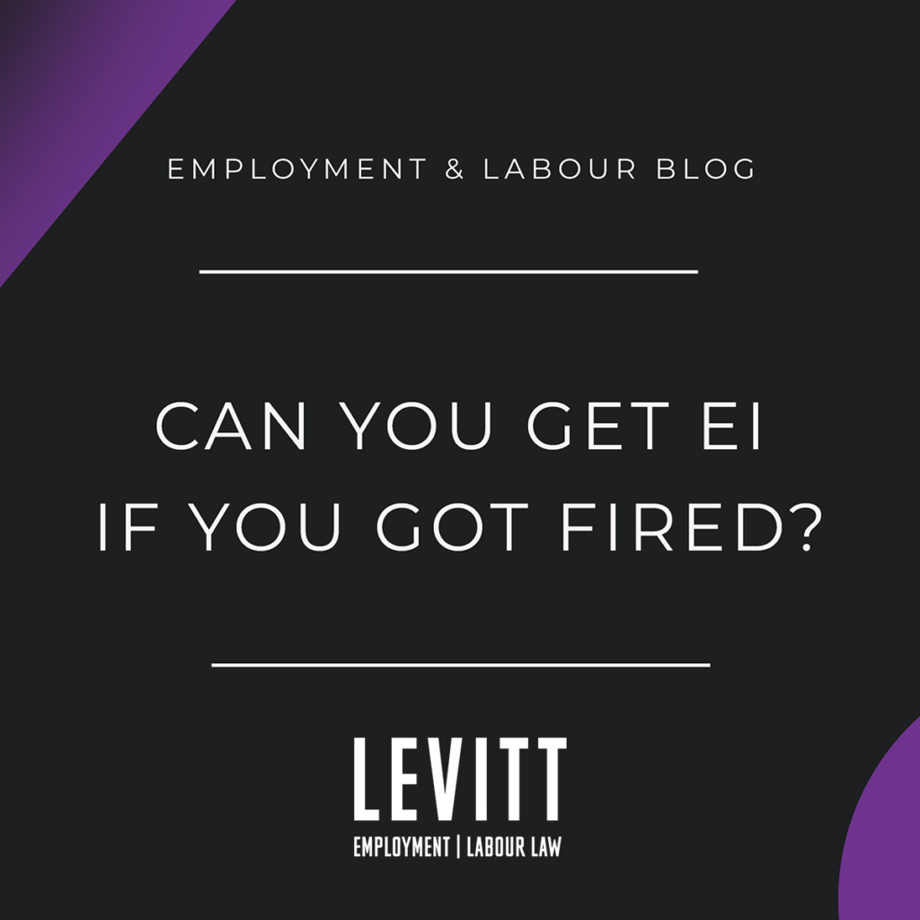 Can you get EI if you Got Fired?