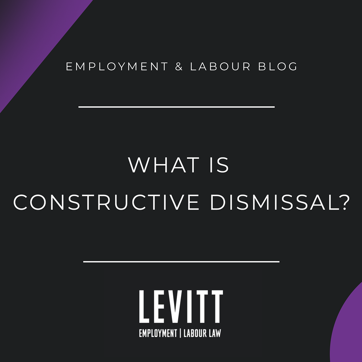 What Is Constructive Dismissal Levitt Sheikh Employment And Labour Lawyers
