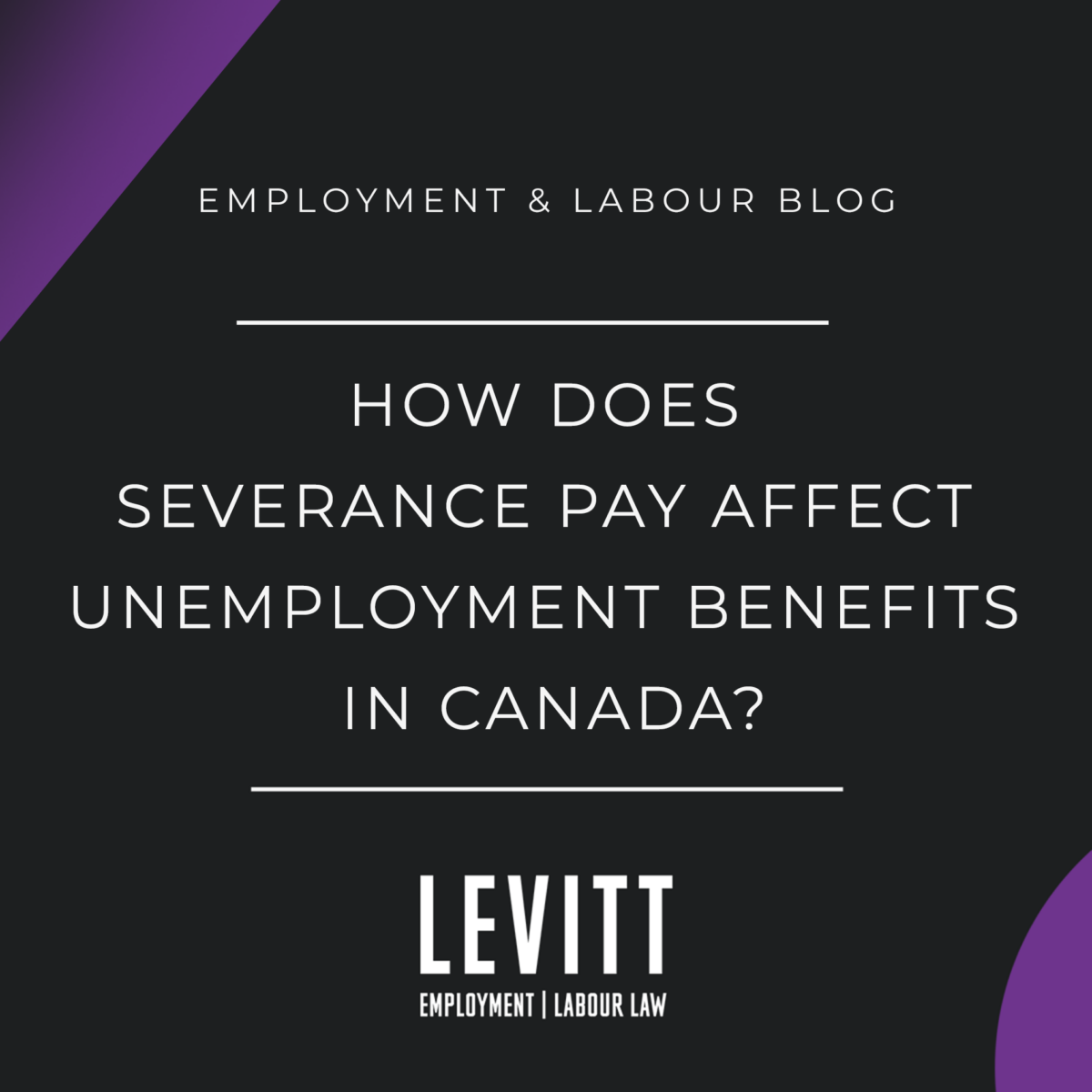 How Does Severance Pay Affect Unemployment Benefits in Canada? Levitt