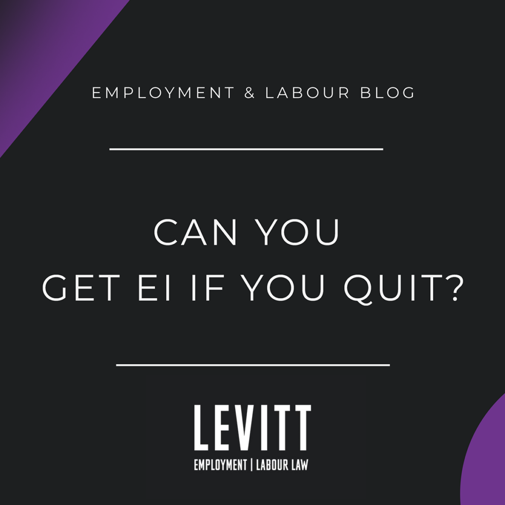 Can You Get EI If You Quit?