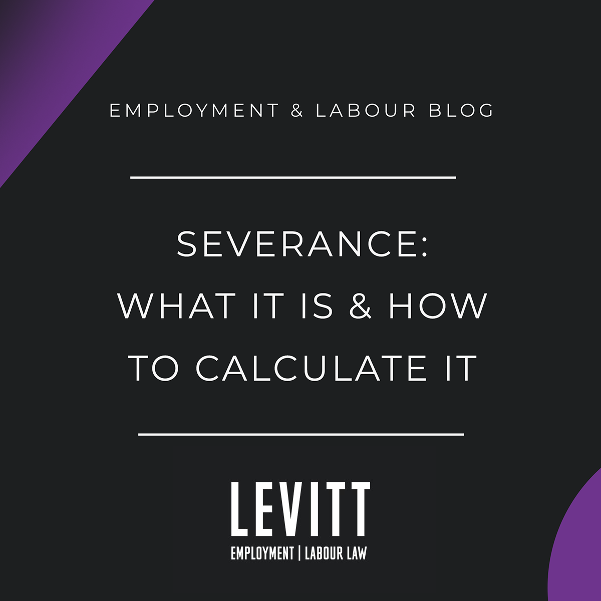 Severance: What It Is & How to Calculate It - Levitt Sheikh