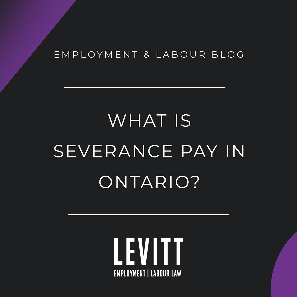 What is Severance Pay in Ontario? - Levitt Sheikh Employment & Labour  Lawyers