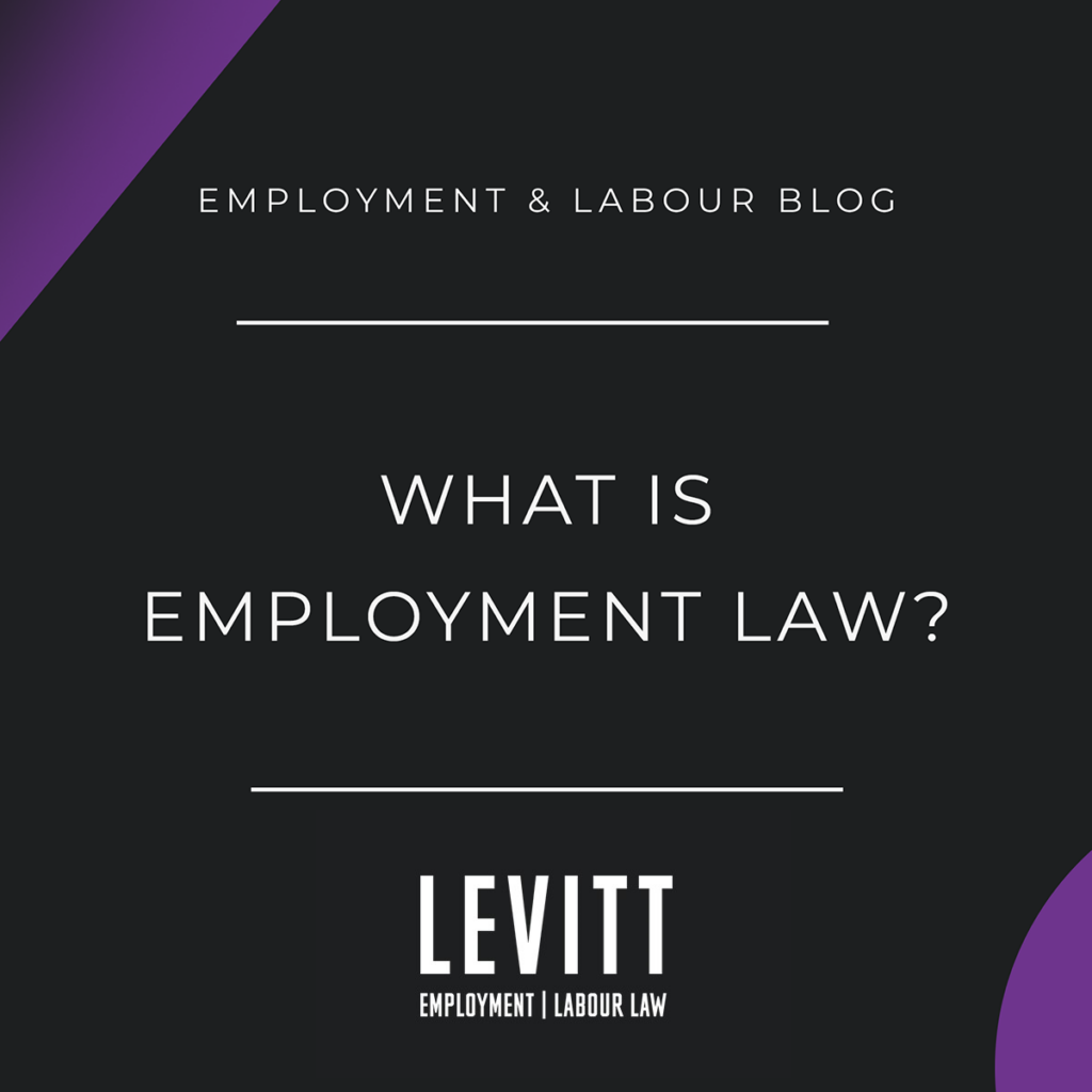 What is Employment Law?