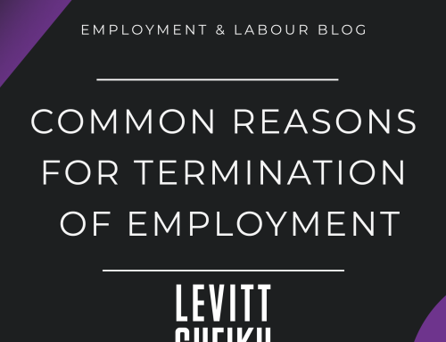 Common Reasons for Termination of Employment