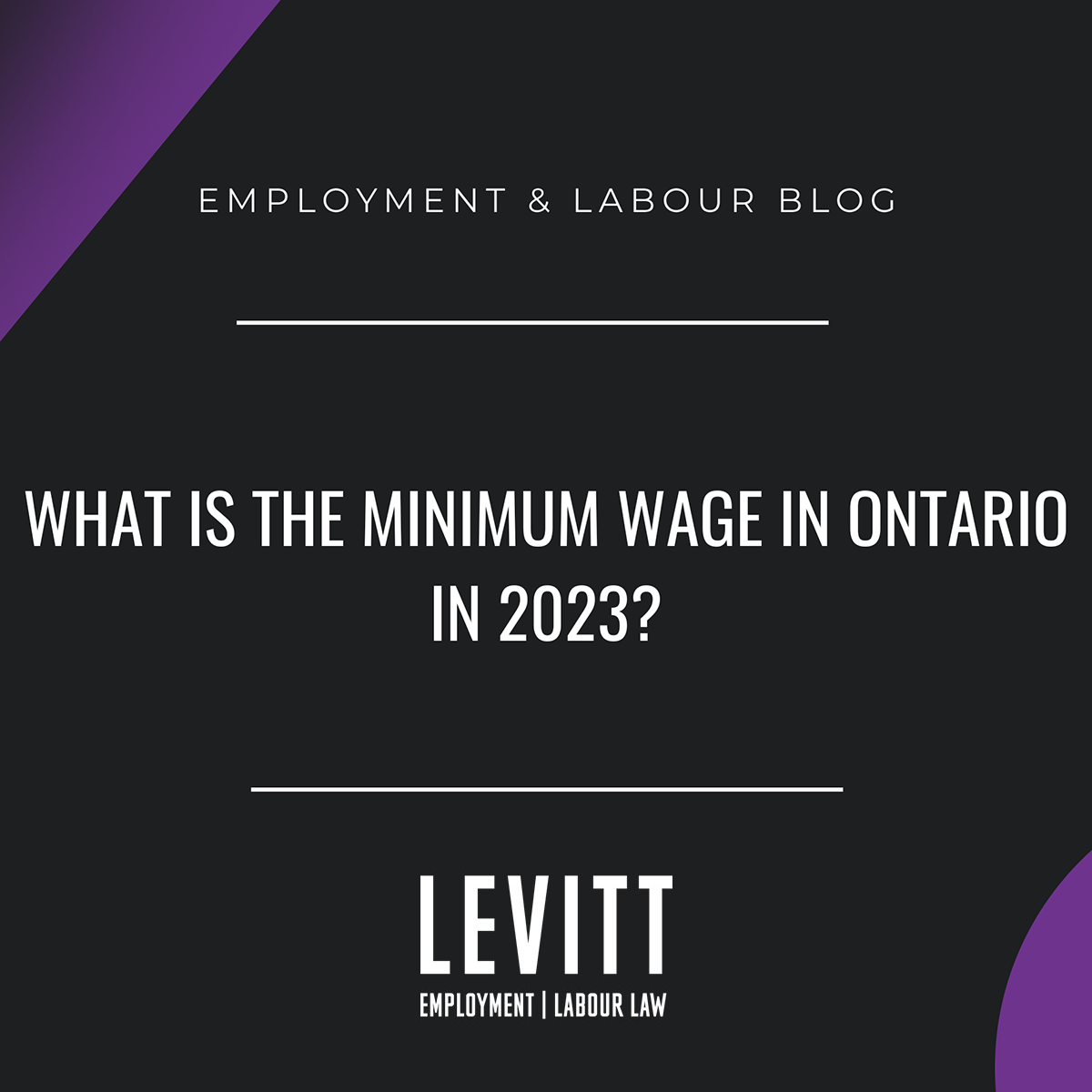 WHAT IS THE MINIMUM WAGE IN ONTARIO IN 2023? Levitt LLP Employment