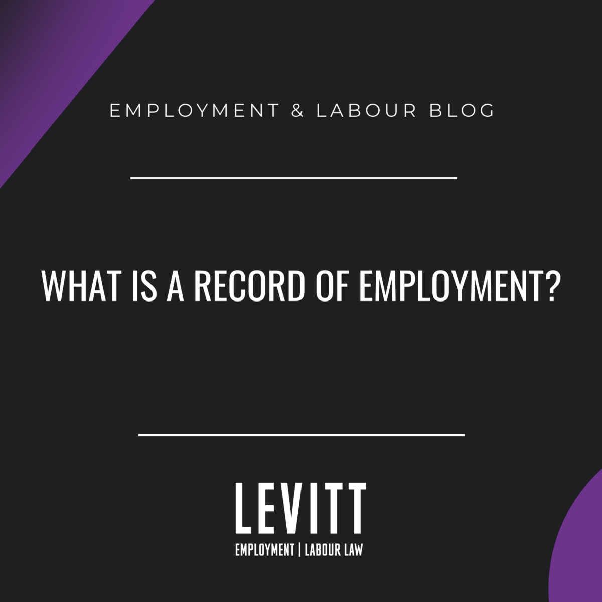 What is a Record of Employment? ROE Ontario Levitt LLP Employment